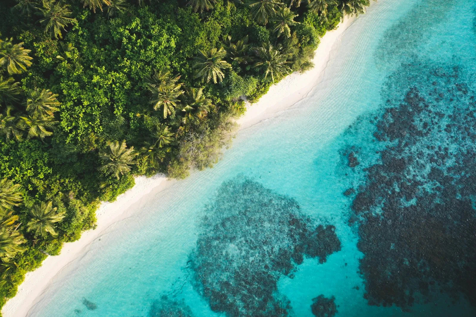 Vue aérienne du littoral et du lagon turquoise de Dhigurah, aux Maldives